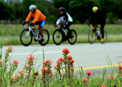 Vibrant wildflowers bloom alongside cyclists riding on a scenic trail, showcasing outdoor biking adventures in nature.