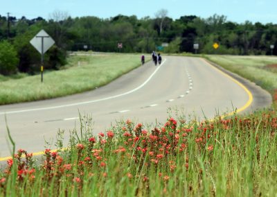 Vibrant wildflowers along the scenic Bluebonnet Express bike route in Texas.