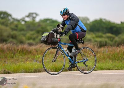 Man riding a blue bicycle with a small dog in a handlebar bag, enjoying a scenic ride outdoors.