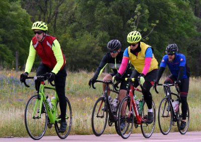 Vibrant group cycling in scenic park with colorful wildflowers and lush green trees, enjoying outdoor biking adventure.
