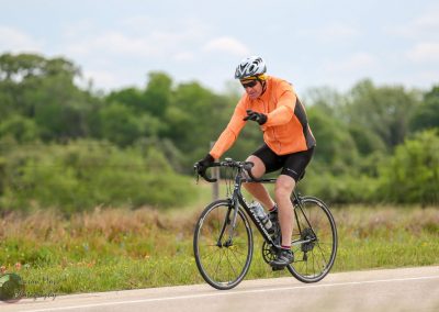 Vibrant bluebonnet fields with cyclist enjoying the scenic Bluebonnet Express ride.