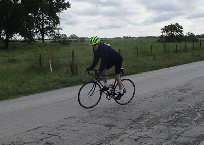 St. Bernard on bicycle along scenic country road with lush green fields and trees.
