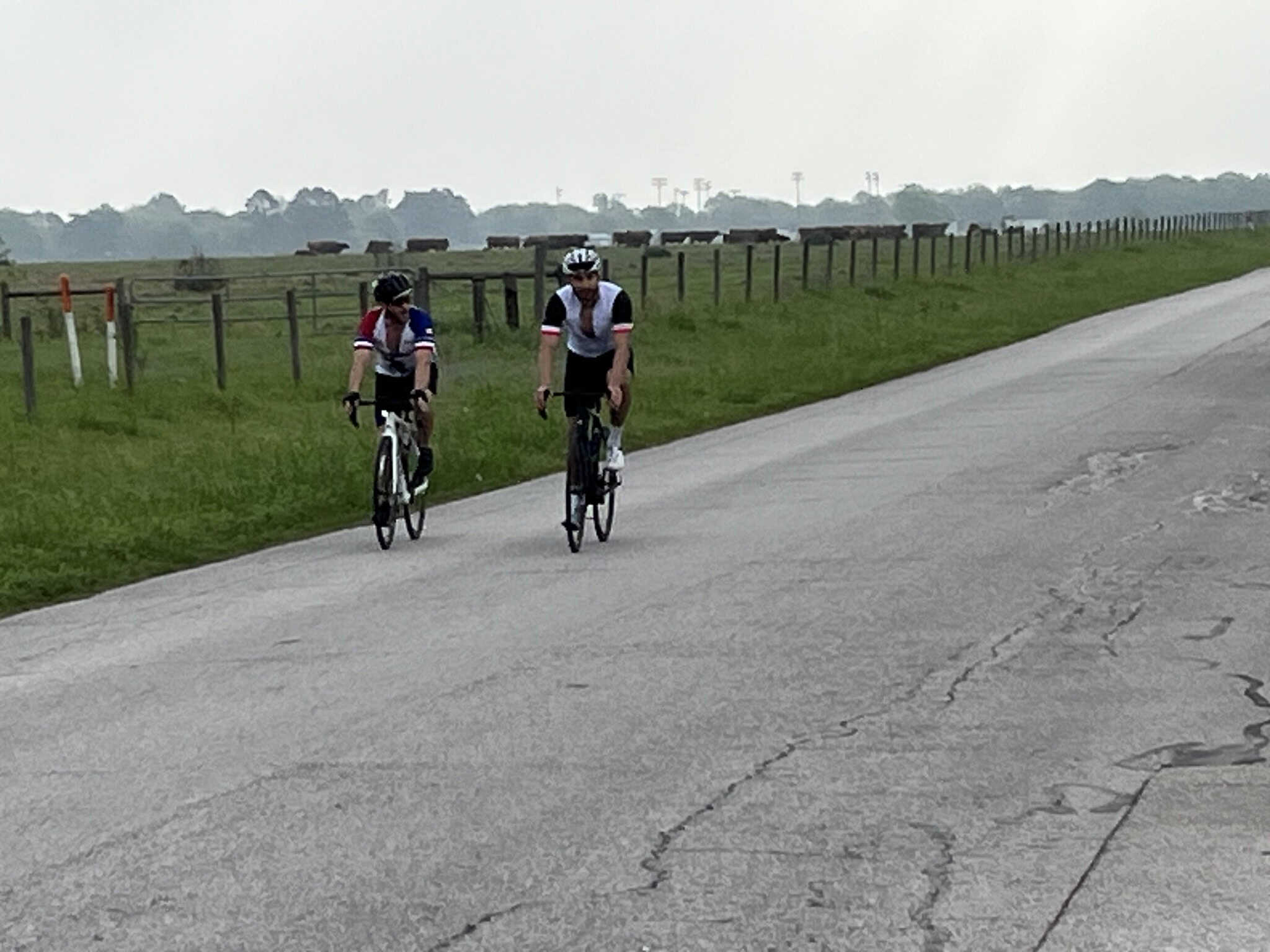 Cyclists riding on a rural road during daytime with green pastures and fences in the background.