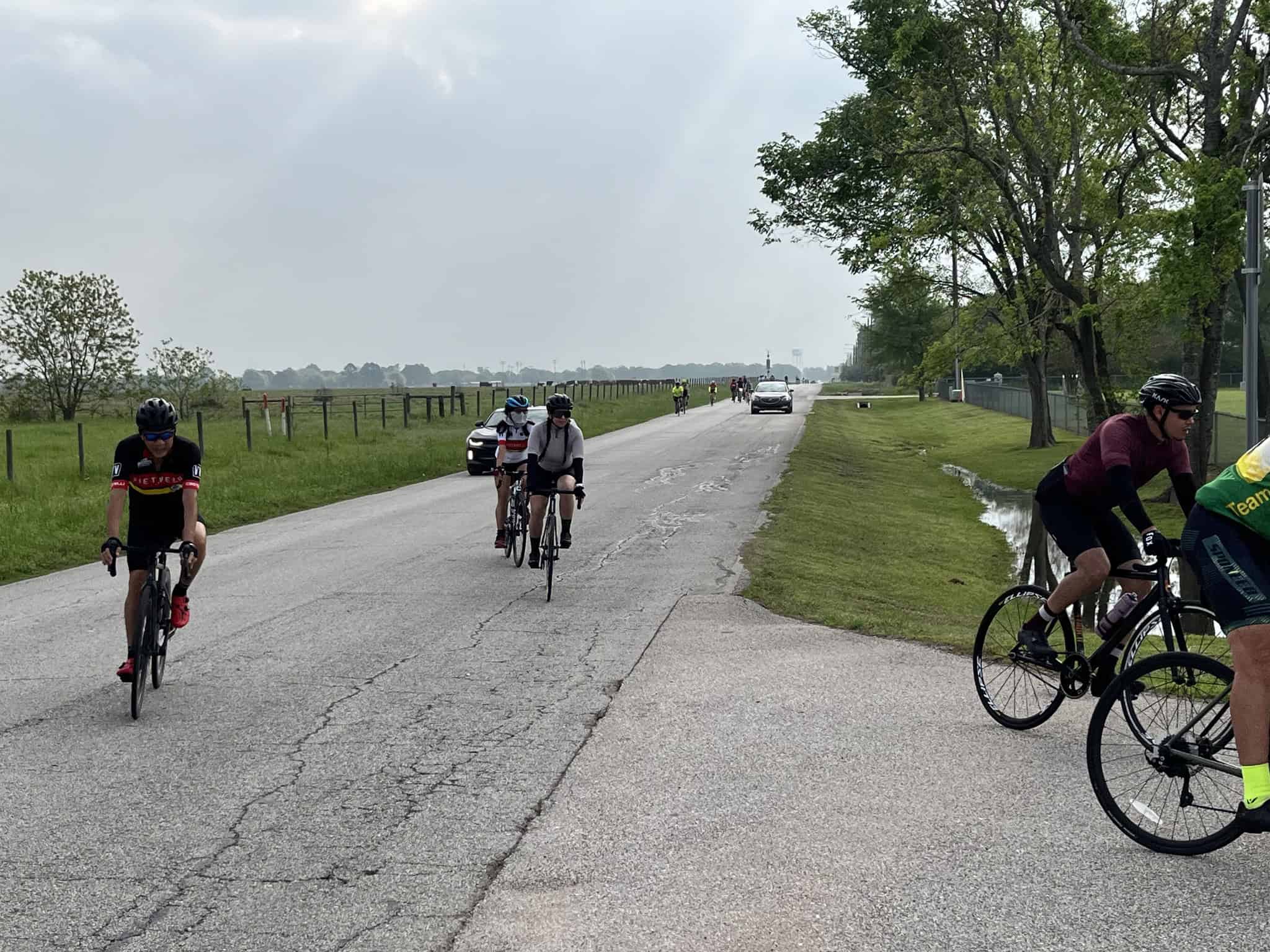 Bicycle riders on a scenic, tree-lined road enjoying a group ride with support vehicles nearby.
