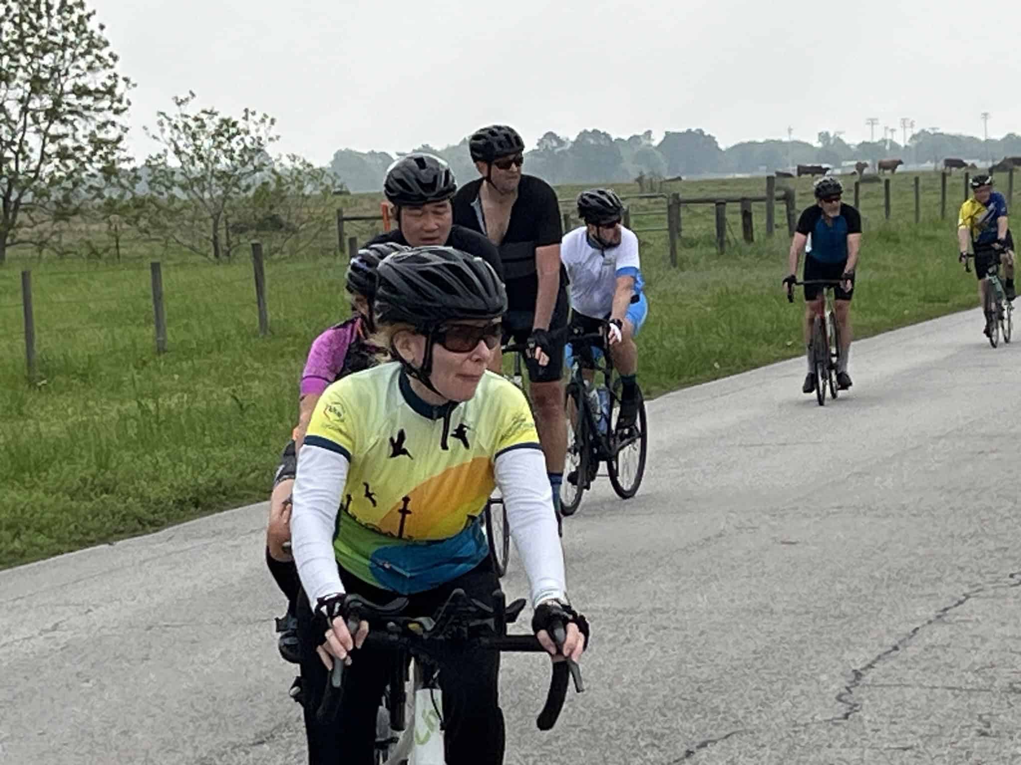 Vibrant cyclists riding on a scenic outdoor trail, enjoying a group bike ride with lush greenery and open fields in the background.