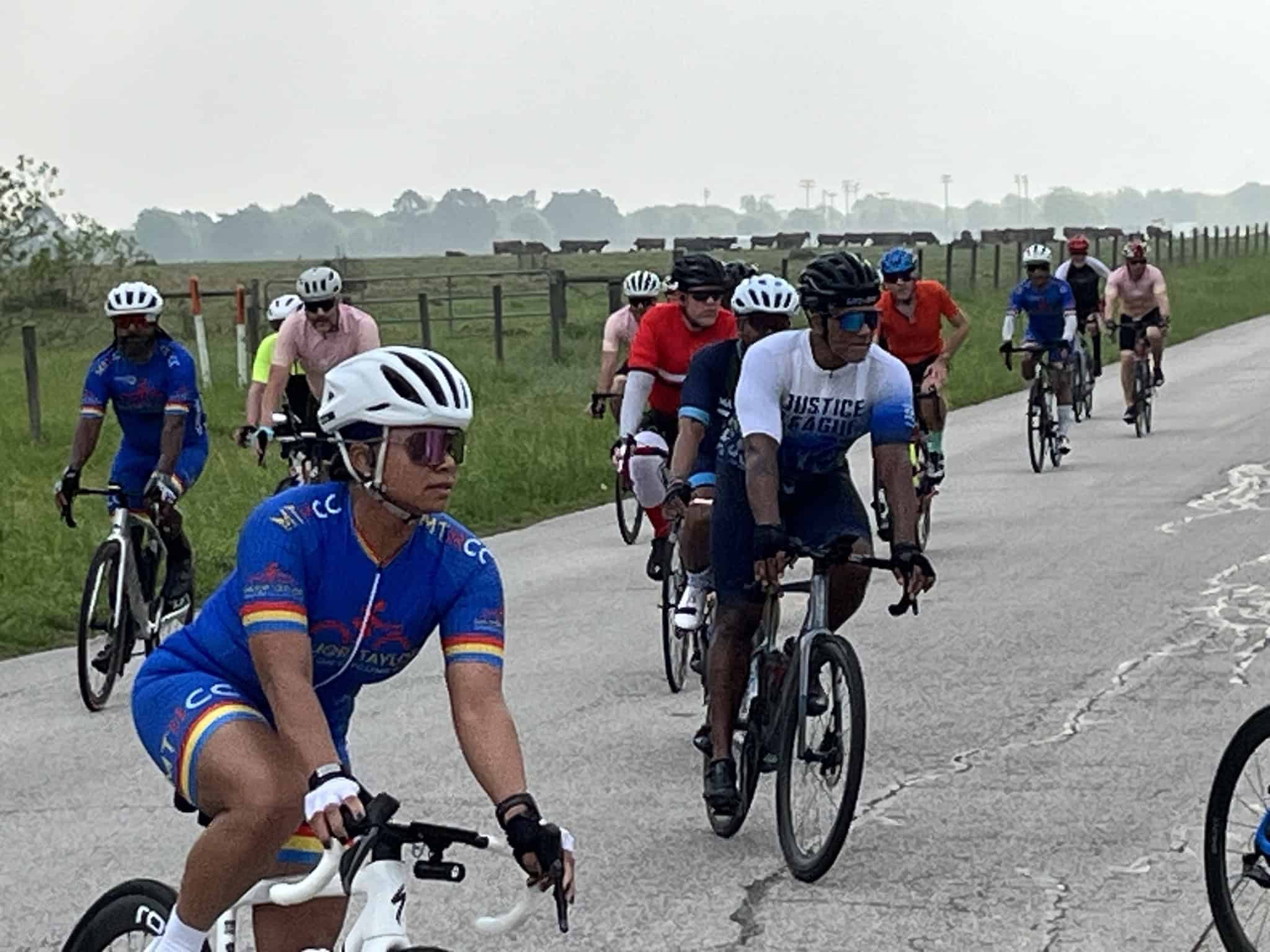 Vibrant group of cyclists riding along a scenic rural road with green fields and cow pastures, promoting active transportation.