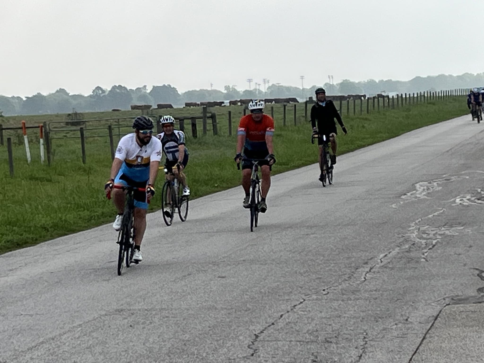 Bicycle riders enjoying scenic routes in open countryside with green fields and fences.