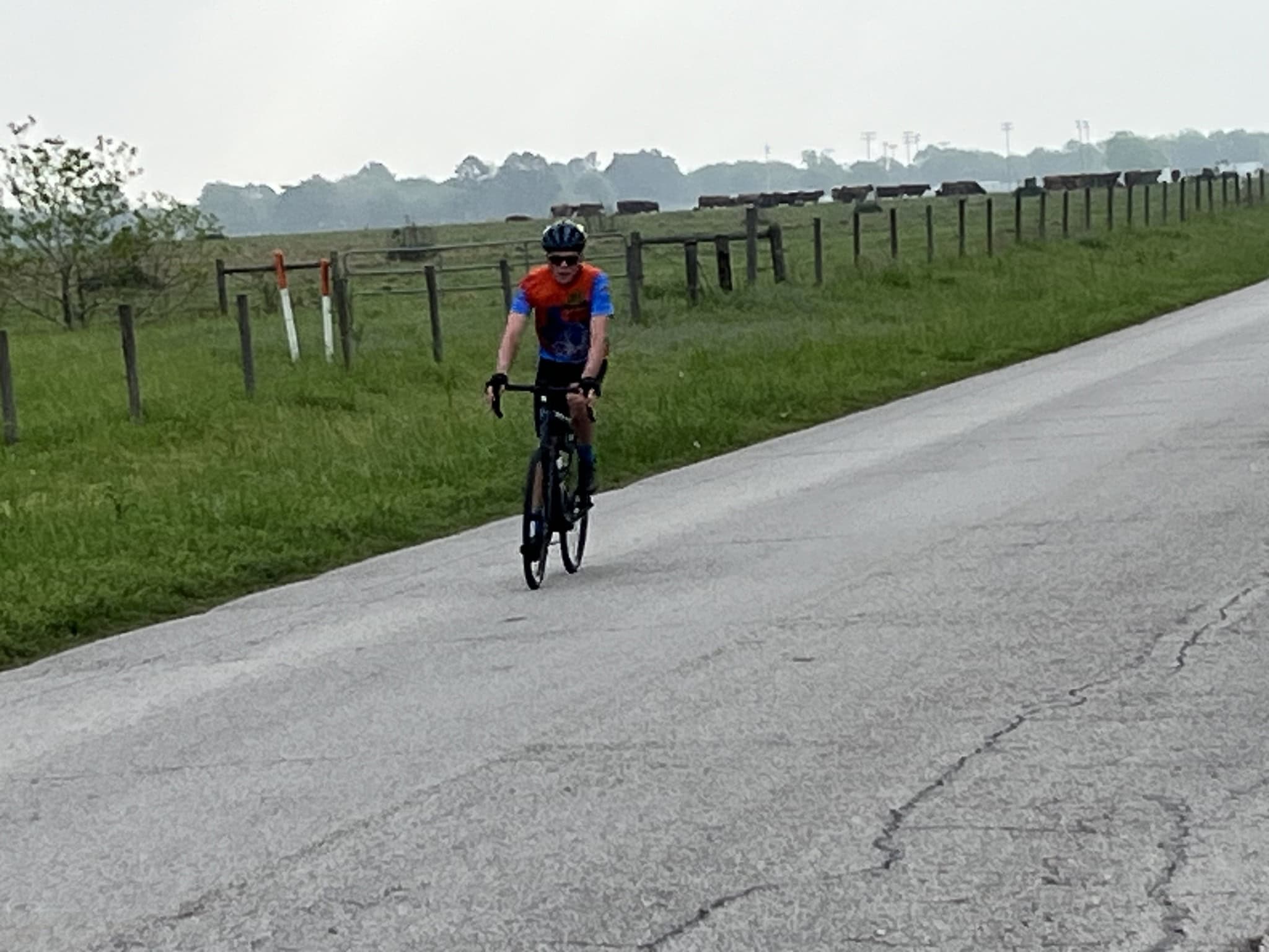 Cyclist riding on the scenic countryside road with green fields and fencing, enjoying outdoor biking adventure.
