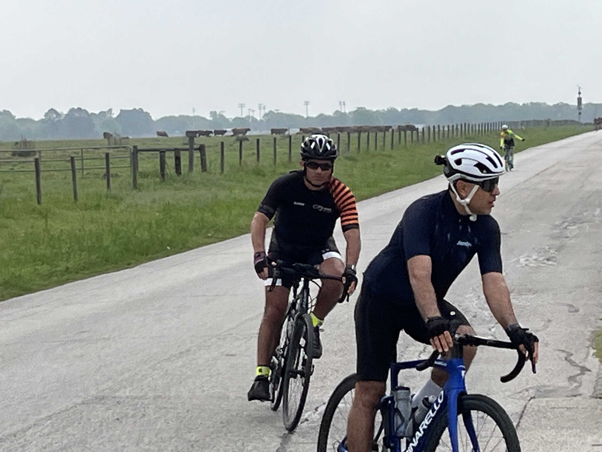 Vast open countryside with cyclists riding along scenic rural roads near cow pastures.