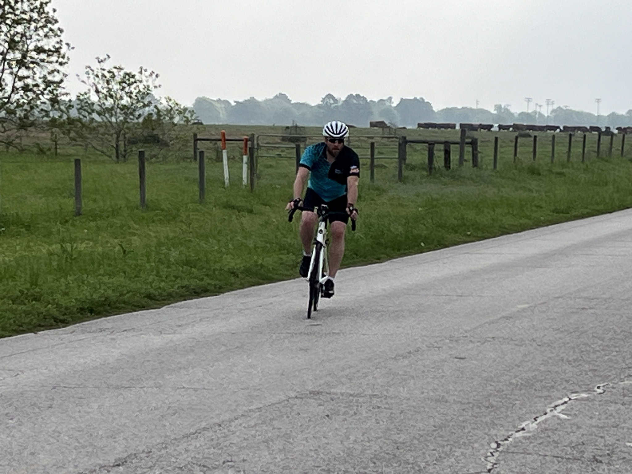 Cyclist riding on scenic rural road, promoting Bluebonnet Express bike tours and cycling adventures.