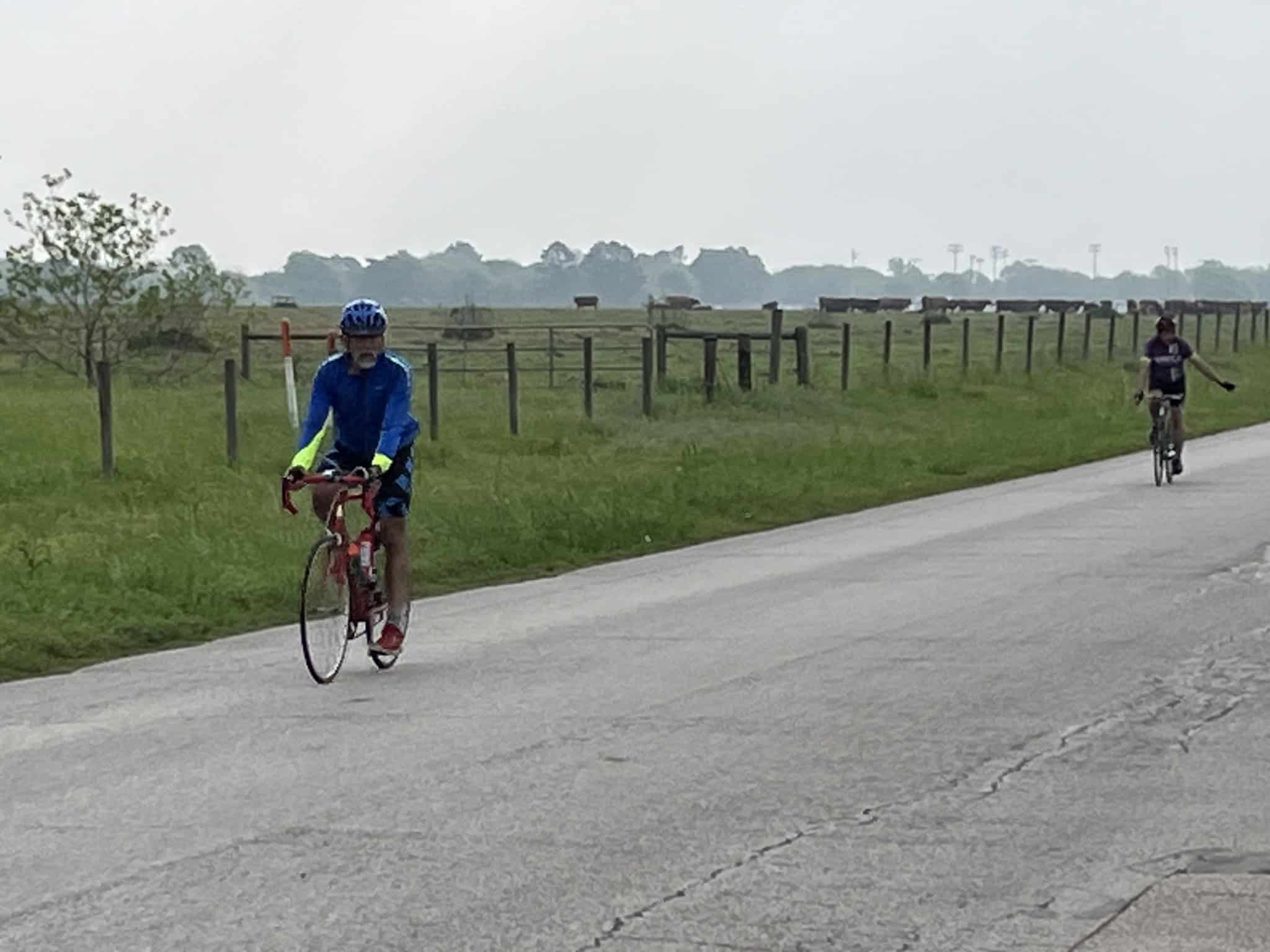 Cyclists riding along a rural road with green pastures and cattle in the background.