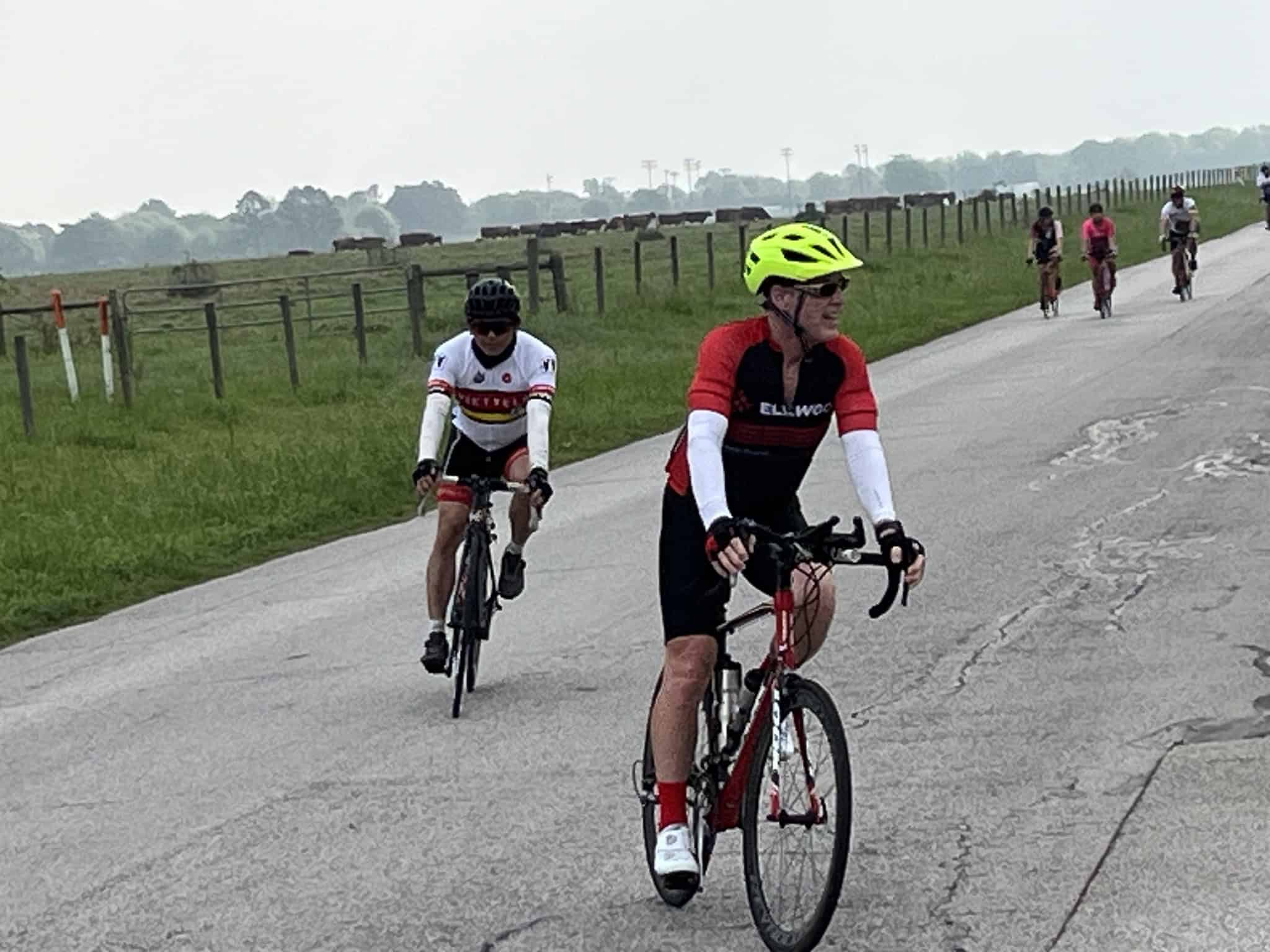 Cyclists riding along a rural road with grassy fields and grazing cattle in the background.