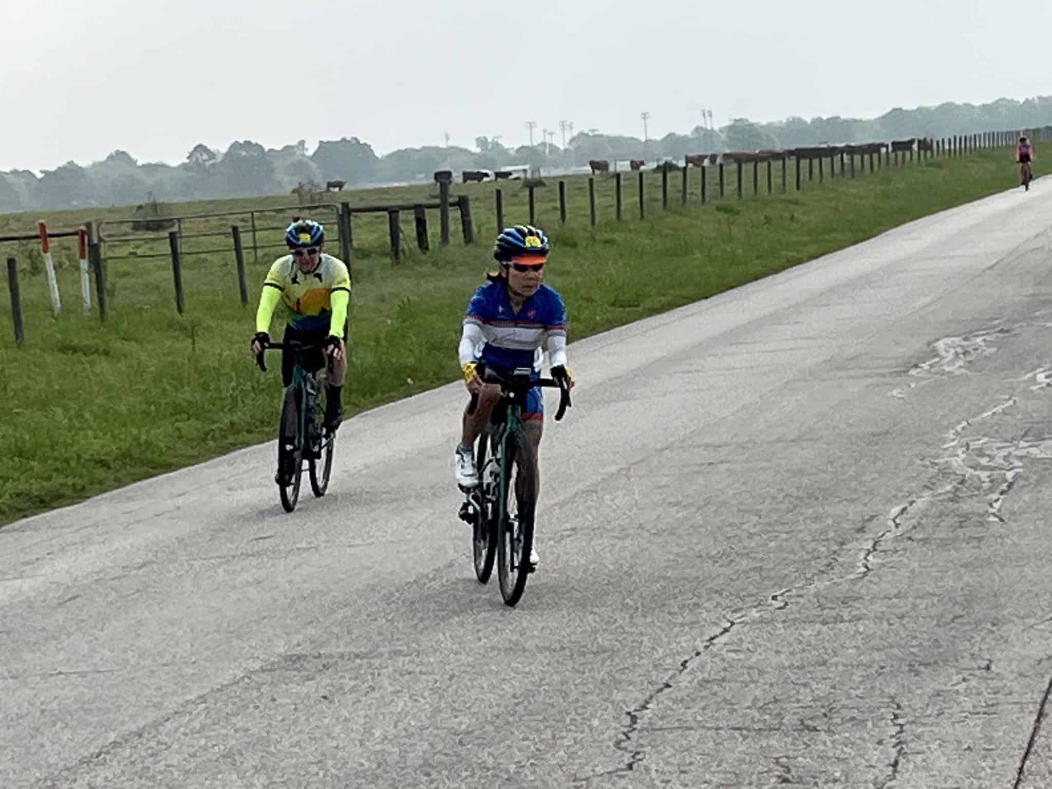 Brightly dressed cyclists riding on a rural road with pastures and fences, promoting Bluebonnet Express bike tour.