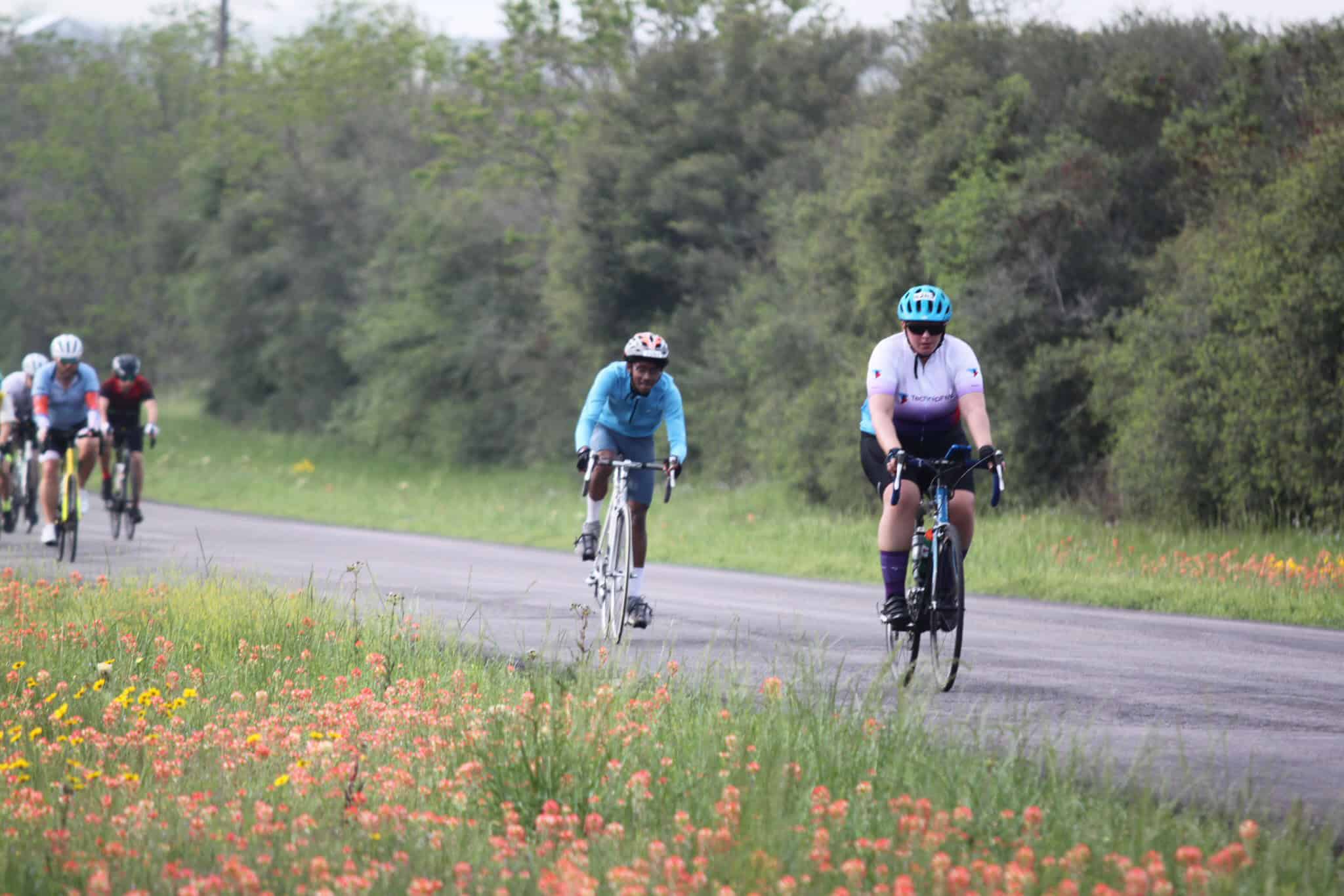 Cyclists riding along a scenic rural road surrounded by blooming wildflowers and trees.