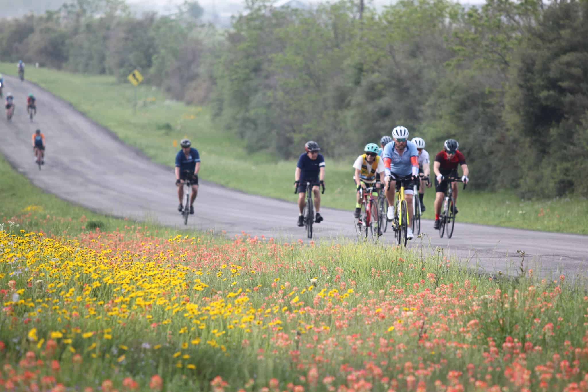 Bright group of cyclists riding through scenic countryside with wildflowers and lush greenery.
