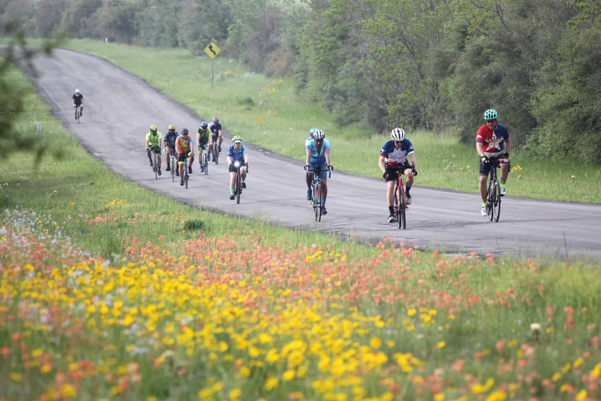 Scenic cycling group on the Bluebonnet Express route through vibrant wildflower fields and lush greenery.