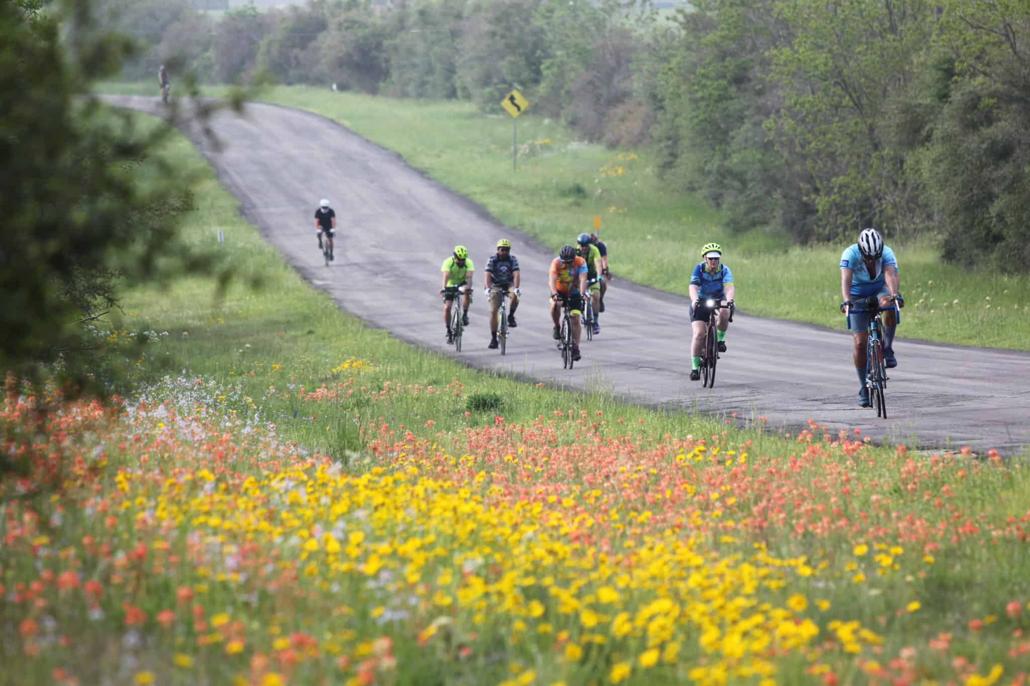 Vibrant group of cyclists riding through scenic countryside on Bluebonnet Express route.