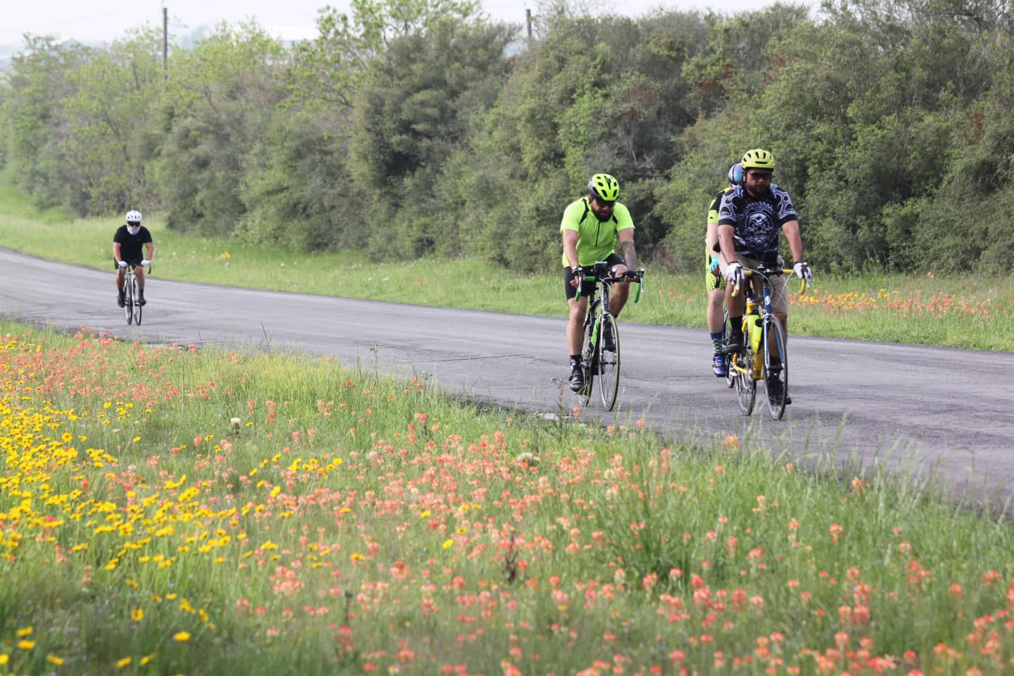 Cyclists riding on a scenic rural road surrounded by wildflowers and greenery.