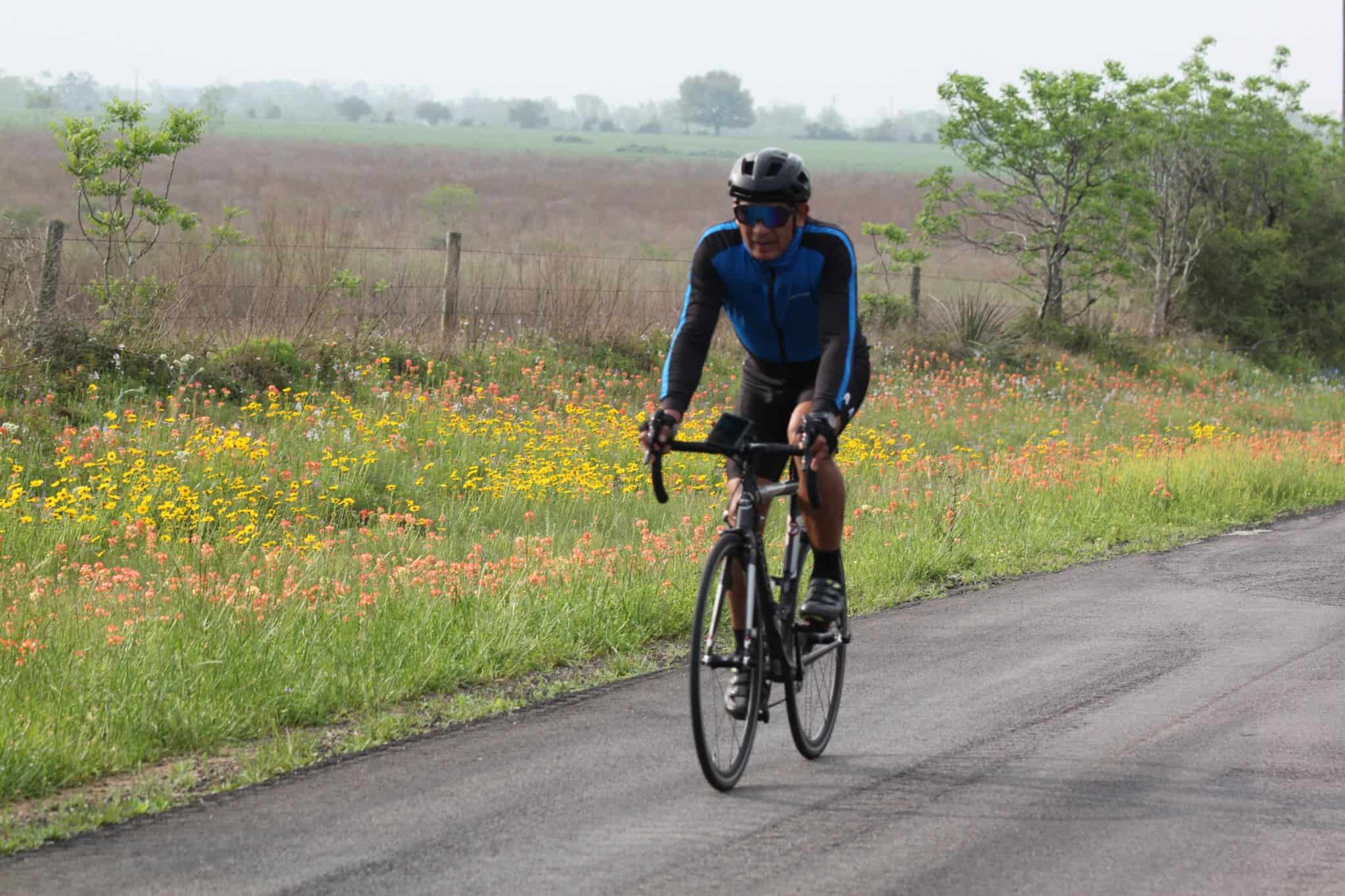 Vibrant spring wildflowers alongside cyclist on scenic rural bike route.