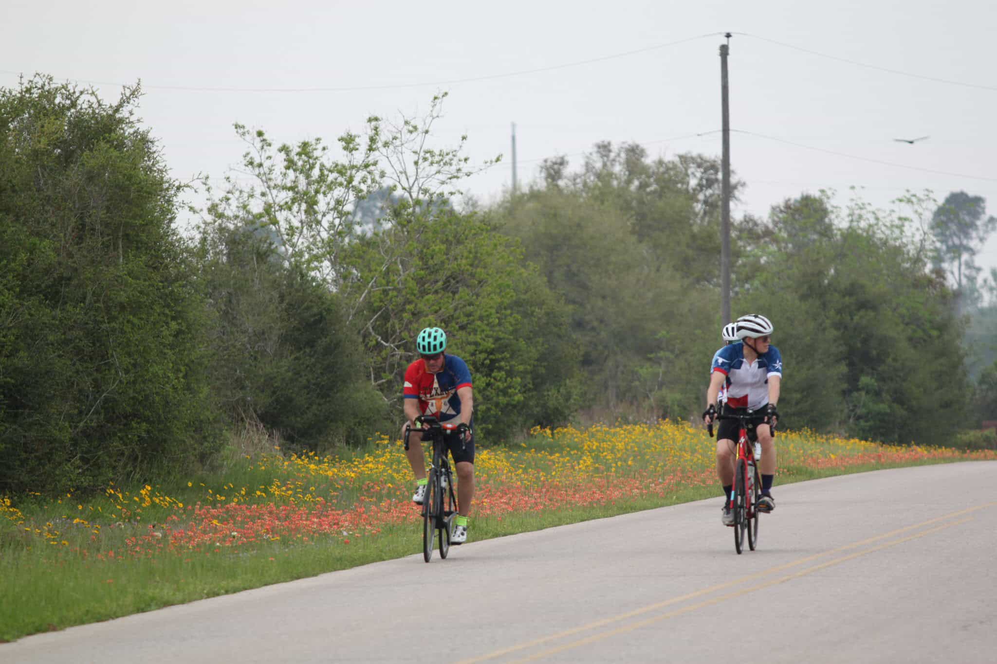 Bicycle riders cycling on scenic rural road during daytime.