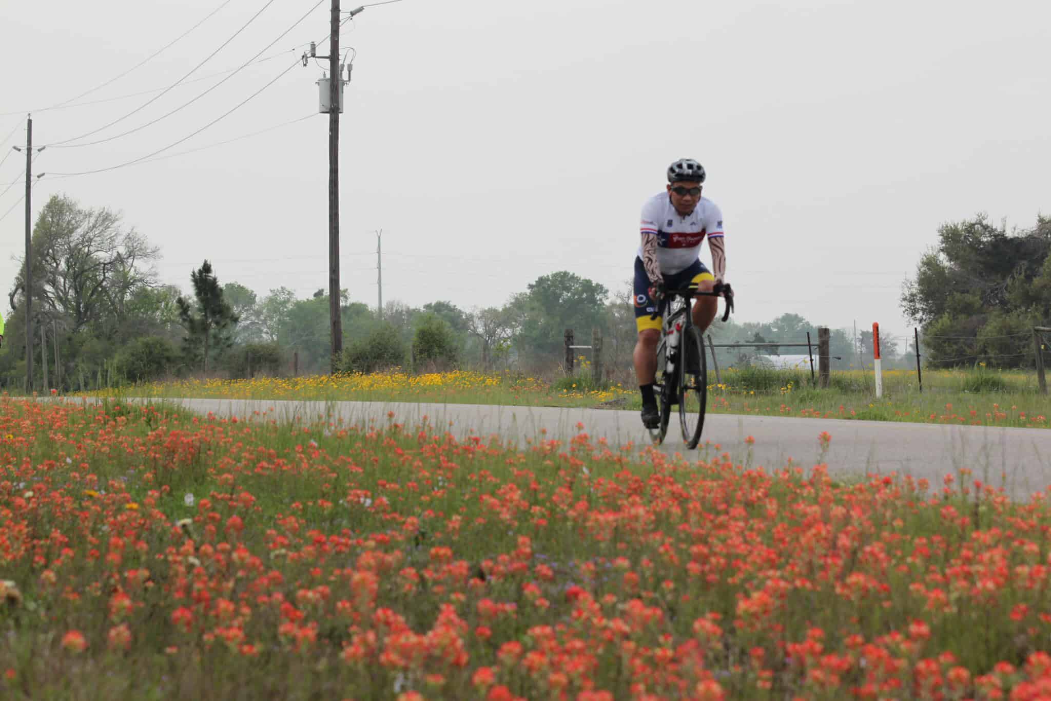 Vegan cyclist riding on scenic countryside road with wildflowers and power lines in the background.