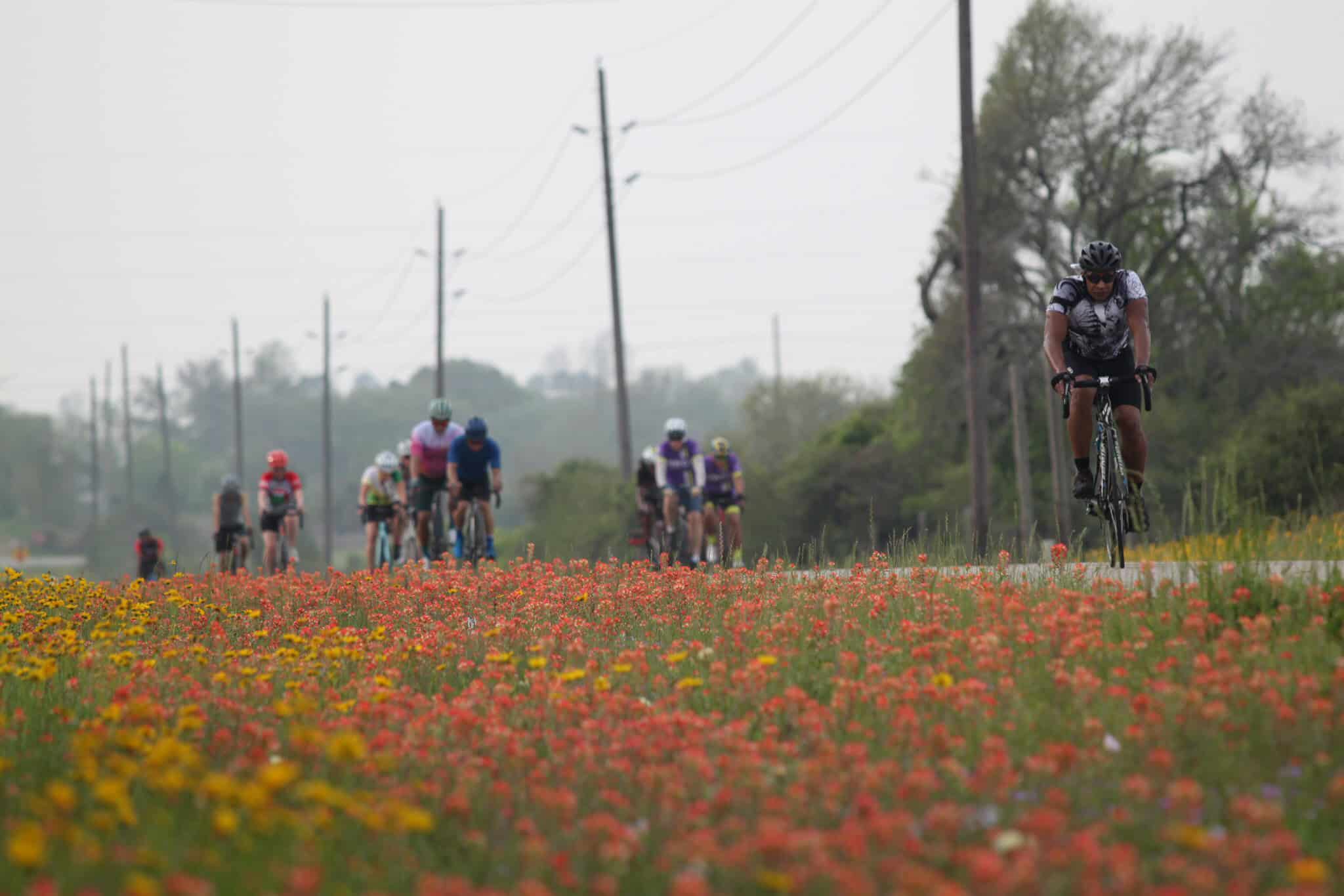 Vibrant group cycling on scenic road surrounded by blooming wildflowers, promoting outdoor cycling adventures.