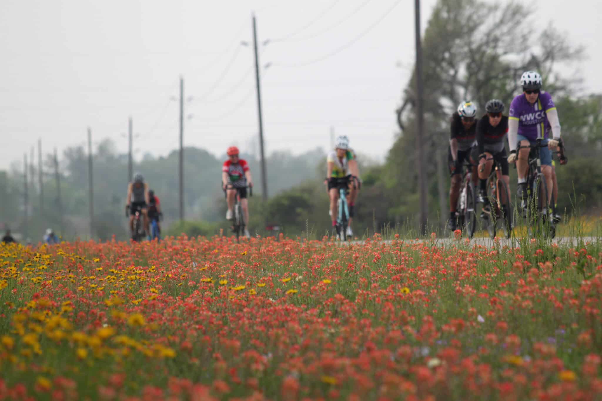 Vibrant group of cyclists riding through a colorful flower field on a scenic outdoor trail.
