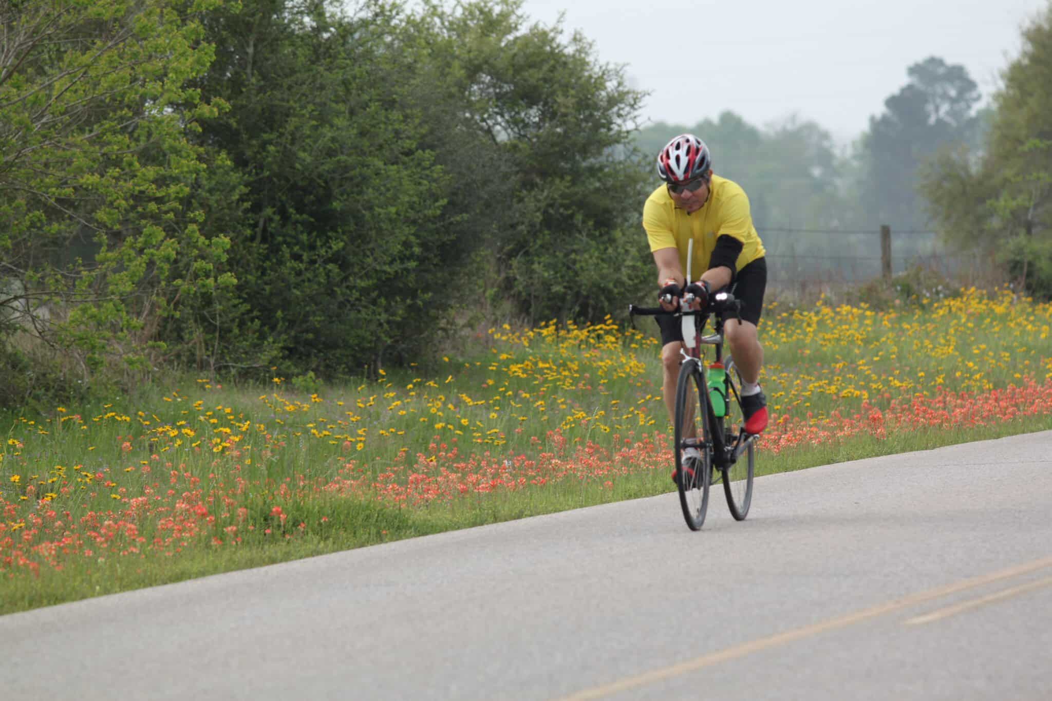 Colorful cyclist riding on scenic rural road surrounded by wildflowers and green trees, promoting outdoor biking adventures.