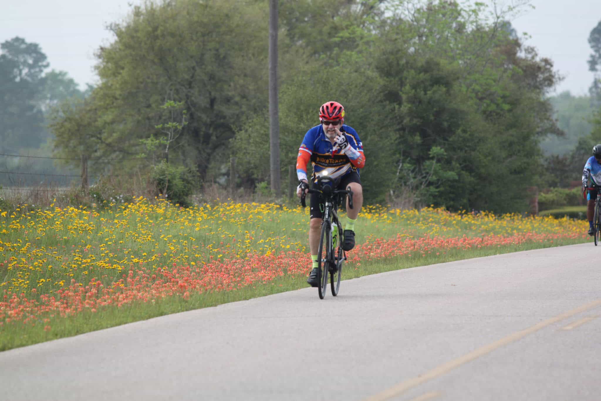 Vibrant cyclist riding through scenic countryside with colorful wildflowers on the roadside.