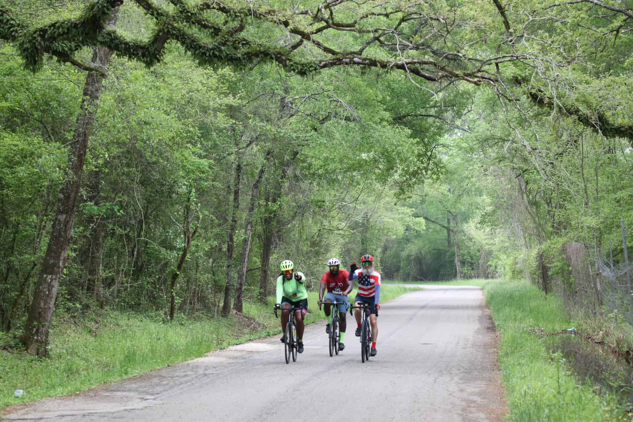 Vibrant cyclists enjoying a scenic bike ride through lush green forest trail.