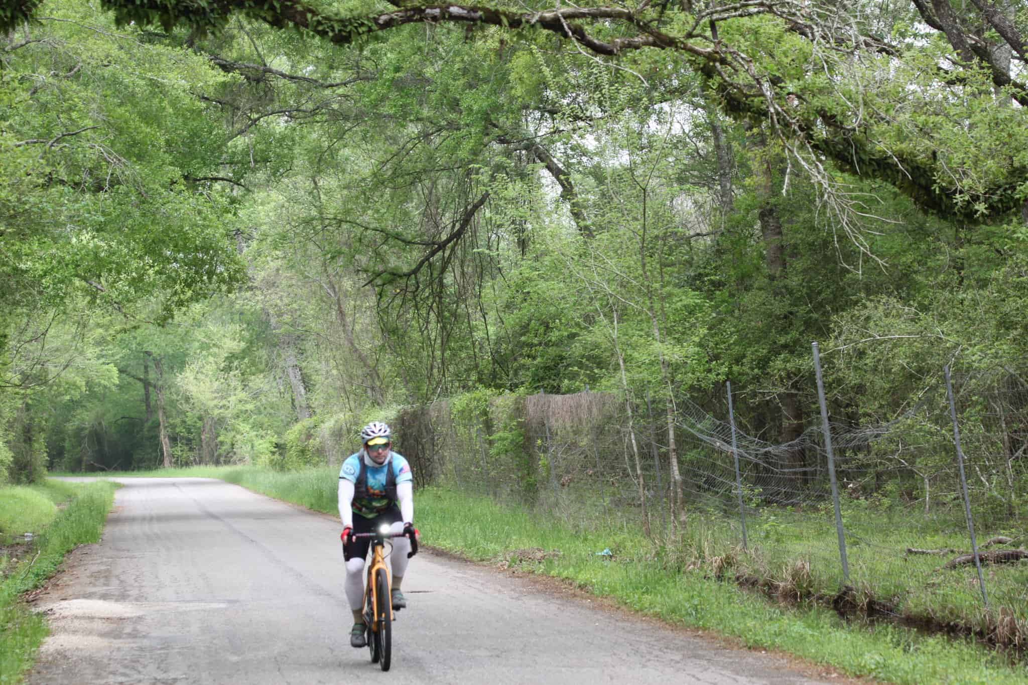 Rider cycling on scenic wooded trail with lush greenery and safety fencing, promoting Bluebonnet Express bike tours.