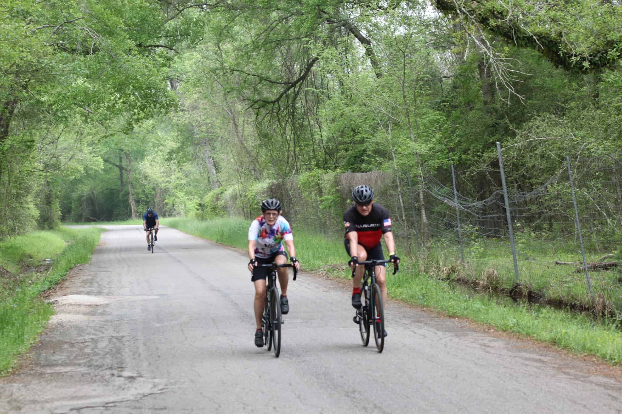 Scenic bike ride along a lush, tree-lined road for Bluebonnet Express cyclists and outdoor enthusiasts.