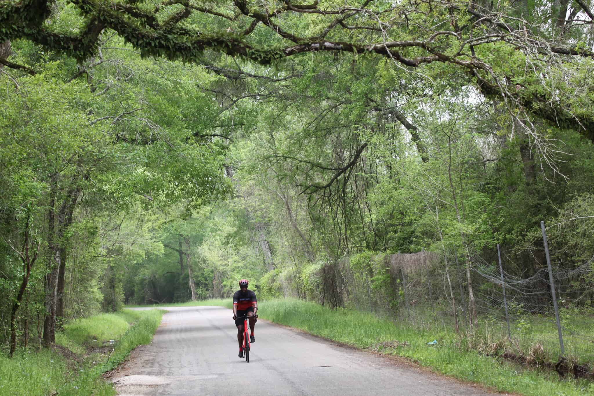 Rider on a scenic forest bike trail during daytime, promoting Bluebonnet Express cycling adventure.