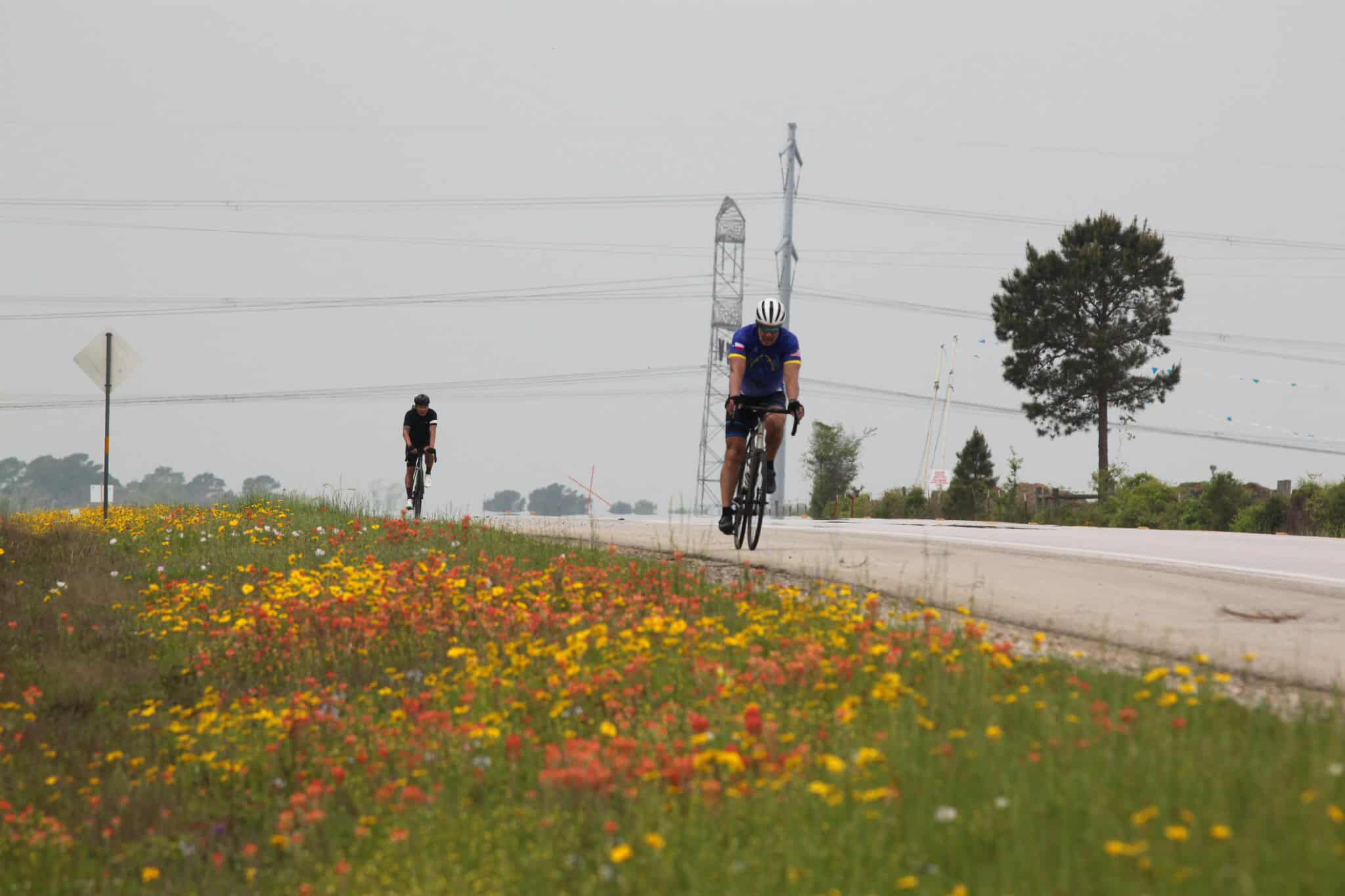 Cyclists riding on a scenic road surrounded by wildflowers and greenery in a rural setting.