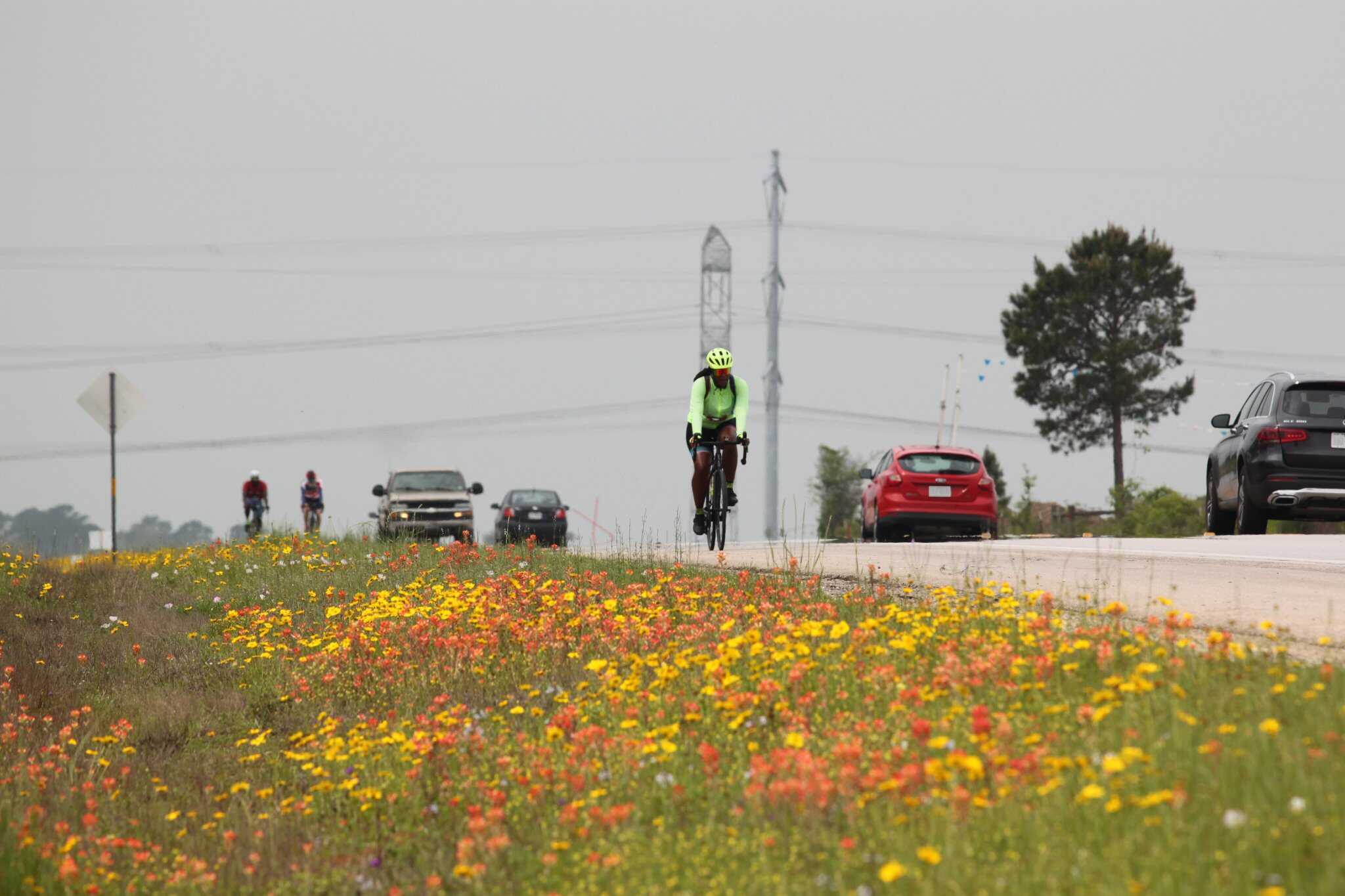 Scenic cyclist riding through colorful wildflowers on rural road in Texas.