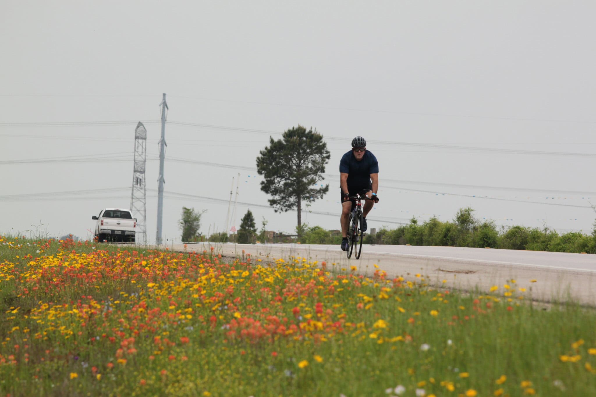 Brighton Bulldogs Cycling Team riding through scenic countryside with wildflowers and open road, promoting outdoor biking adventures.